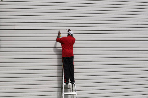 Best Composite Siding  in Woodhaven, MI