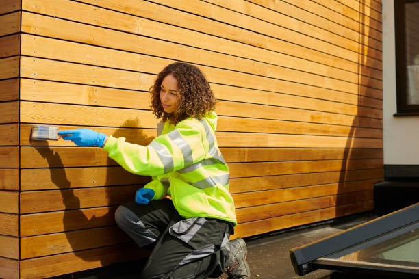 Best Steel Siding Installation  in Woodhaven, MI